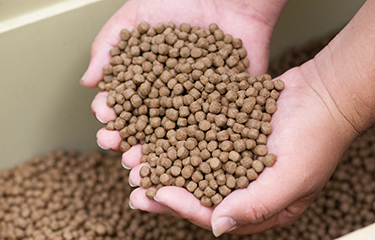 Aquaculture feed in a person's hands.
