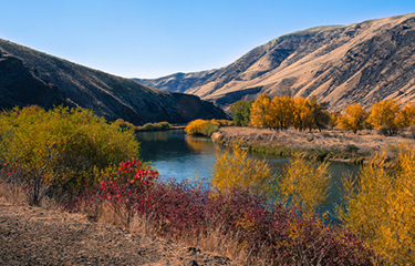 Army Corps of Engineers selects Yakama Nation for chinook salmon release
