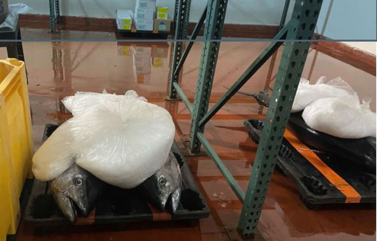Some of the products that the California Department of Fish and Wildlife seized