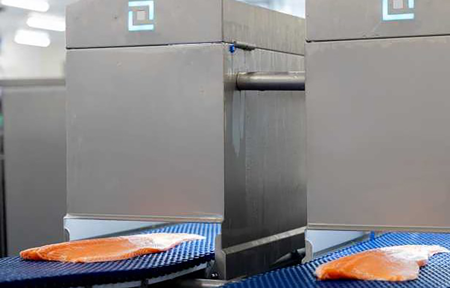 RapiD Engineering's new quality control tool for the salmon and whitefish industry