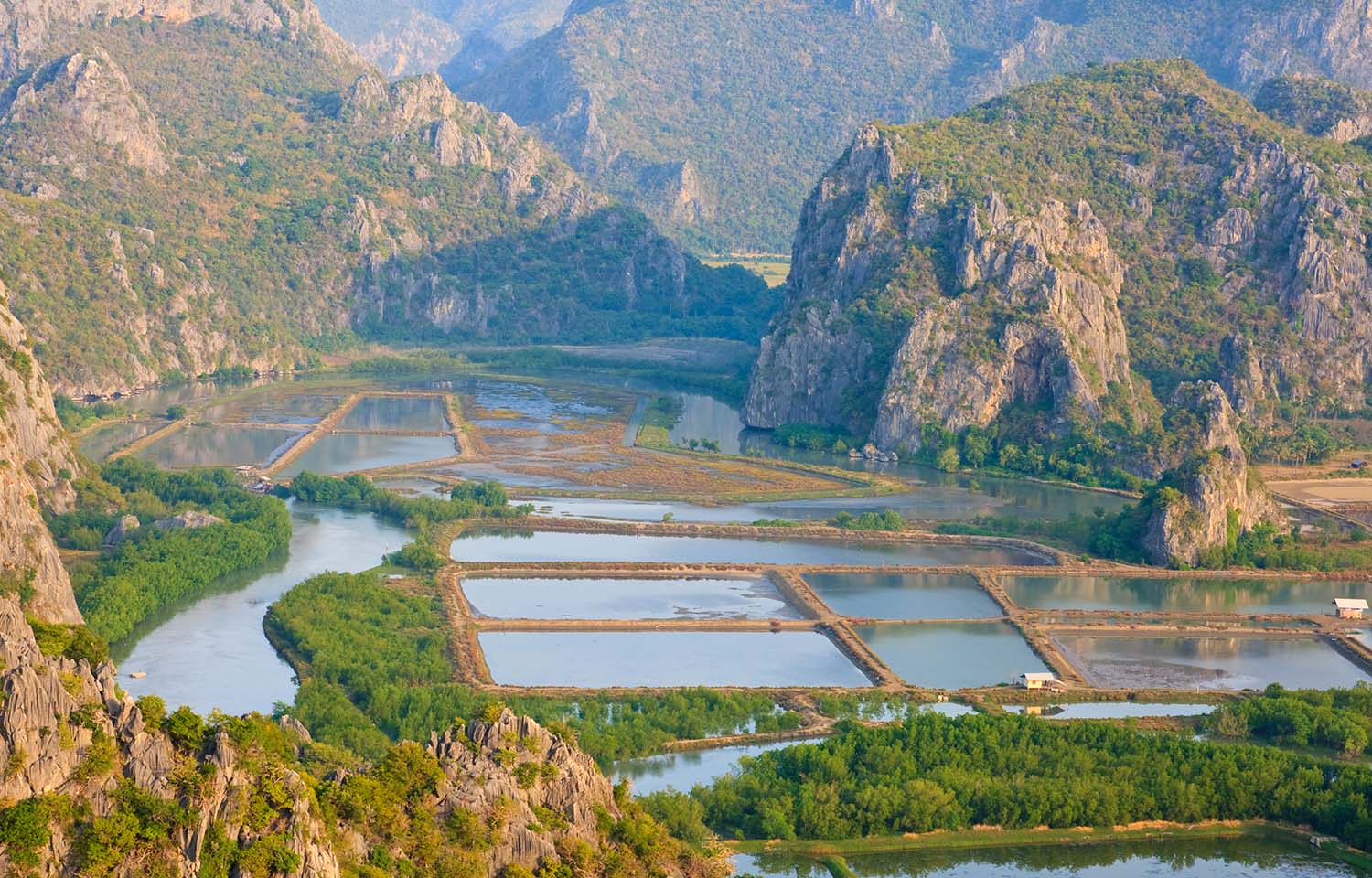 A shrimp farm in Thailand