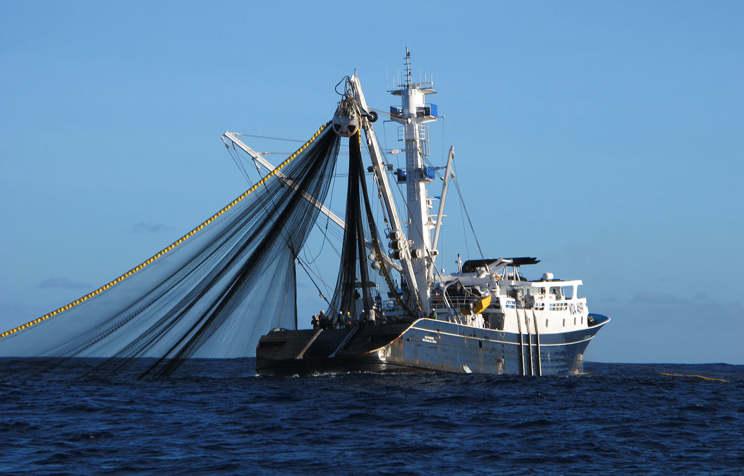 A purse seine tuna fishing vessel at sea with its net extended