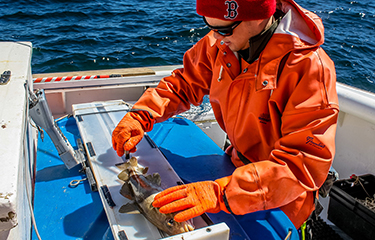 A NOAA Fisheries survey.