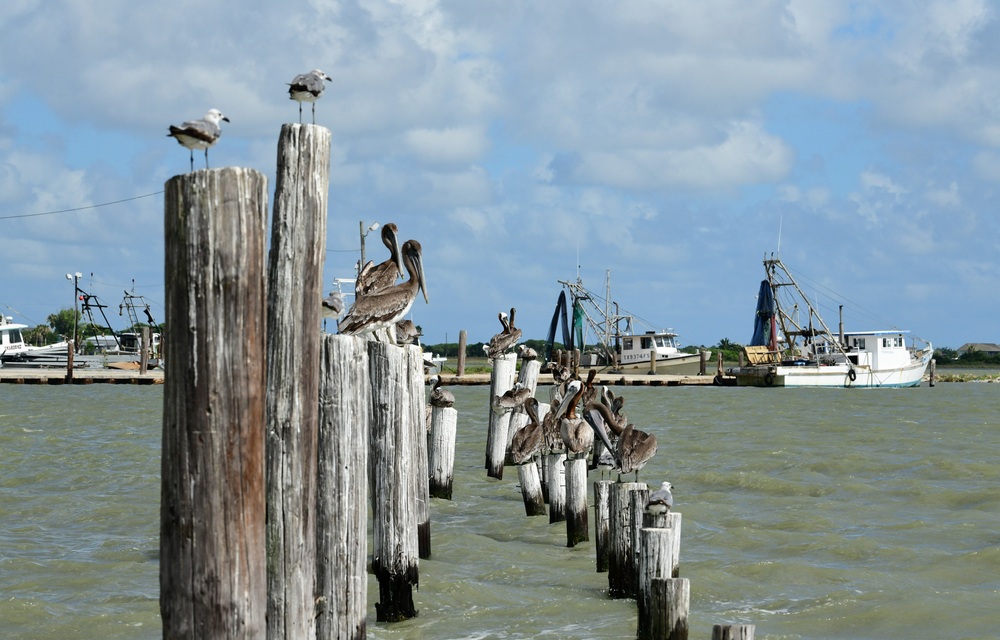 Texas sues Dow over plastic pellet pollution in the Gulf