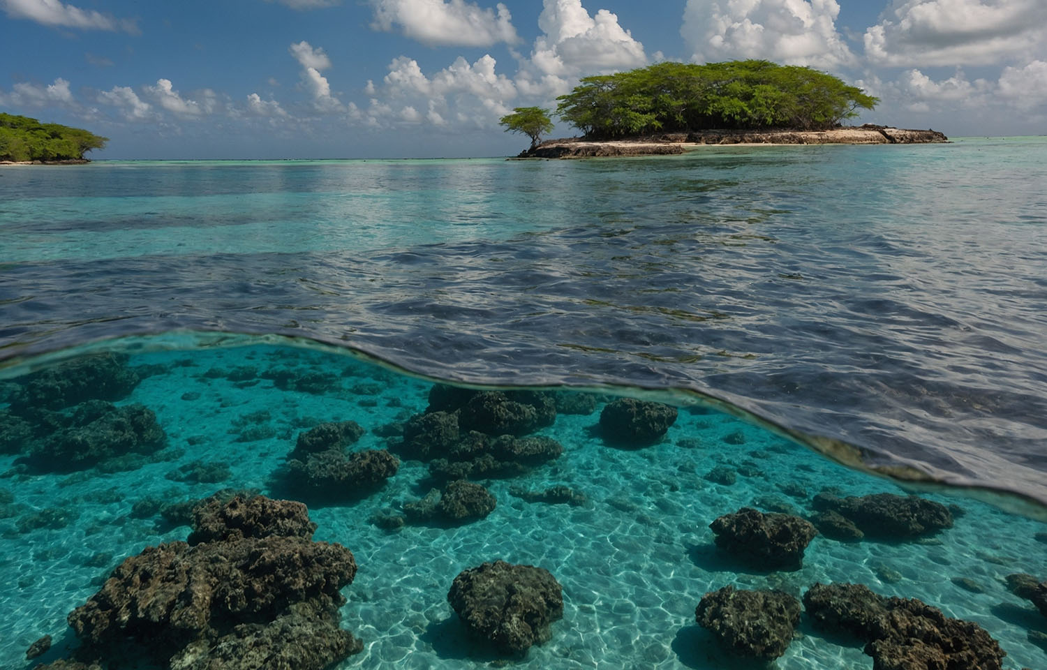 The Aquaculture Stewardship Council is working with stakeholders to develop a guide for best practices in protected areas