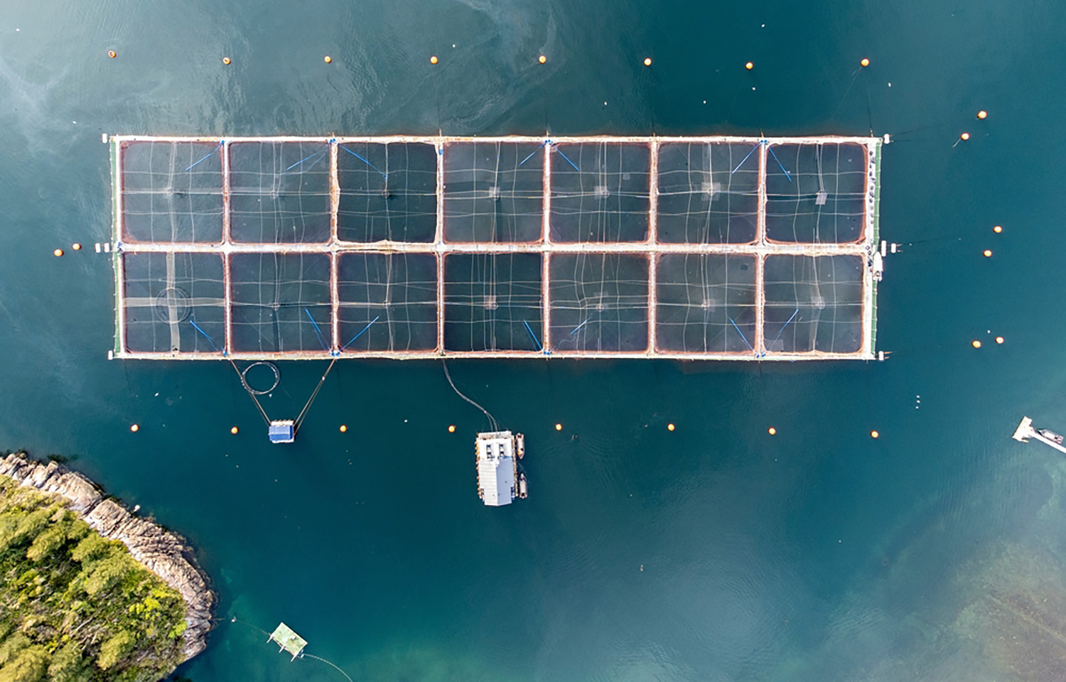 A salmon farm in the Los Lagos region of Chile