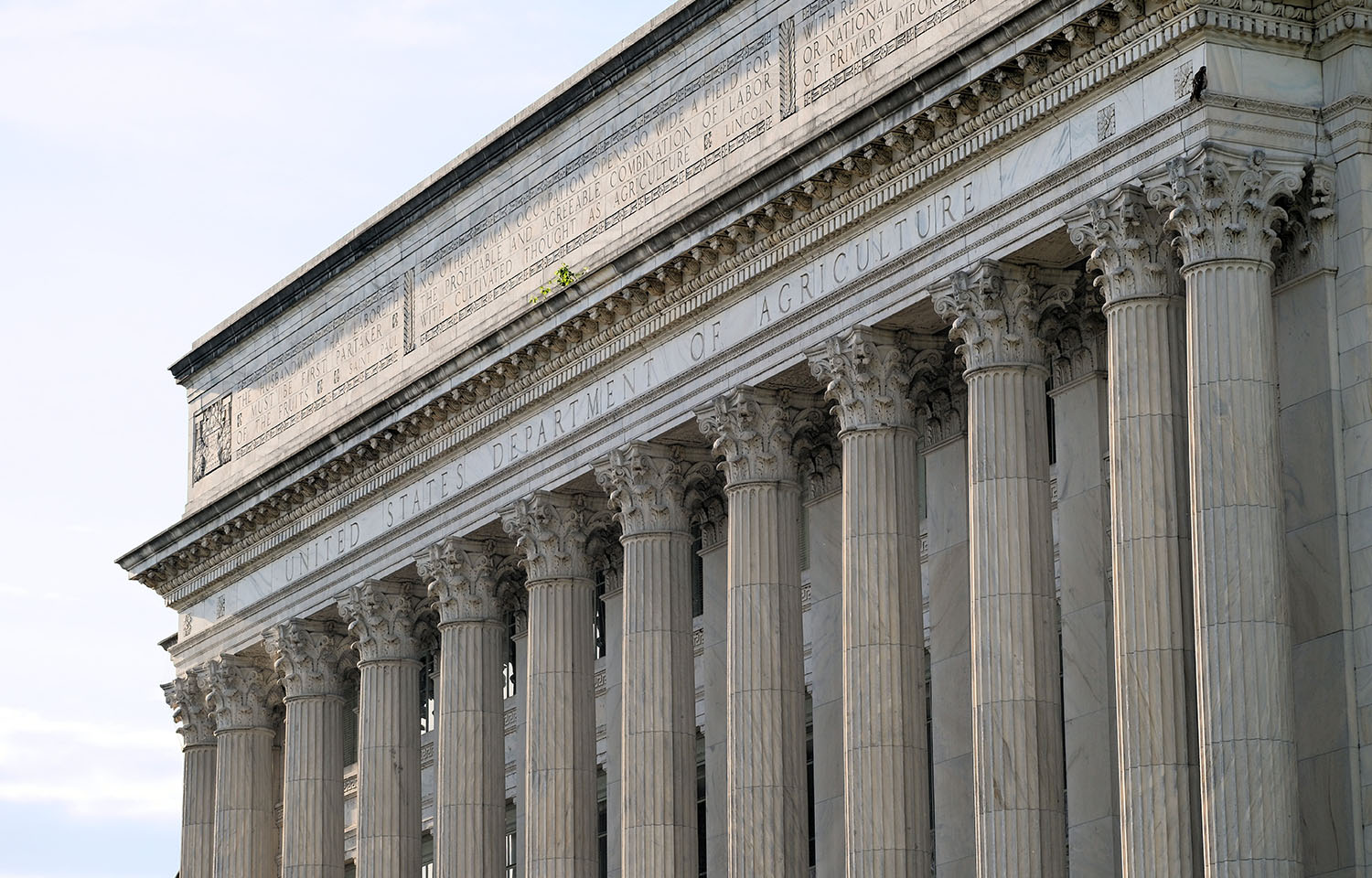 USDA to purchase USD 100 million worth of Alaska pollock | SeafoodSource