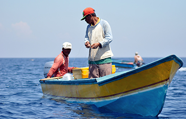 Indonesian handline tuna fishery recognized as sustainable by MSC, Fair  Trade