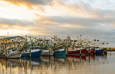 A photo of shrimping vessels.