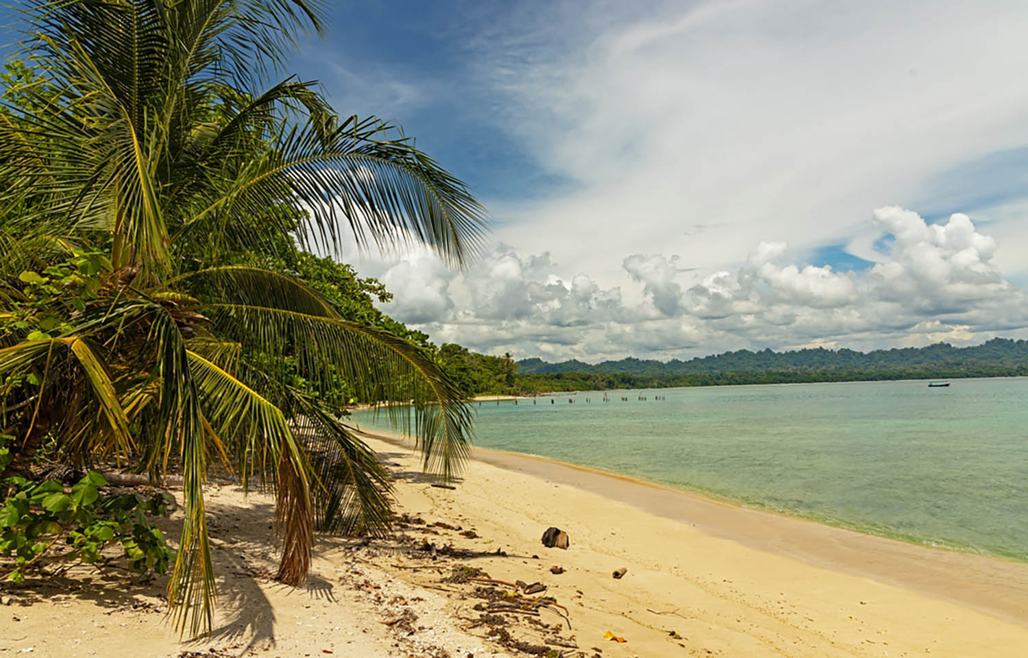 A beach within Cahuita National Park