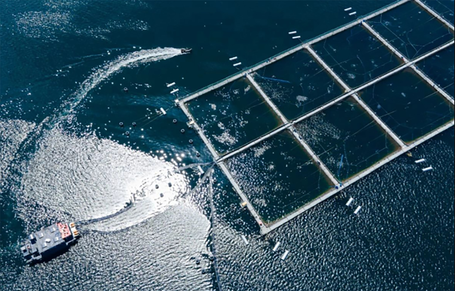 An aerial view of a Multi X fish farm