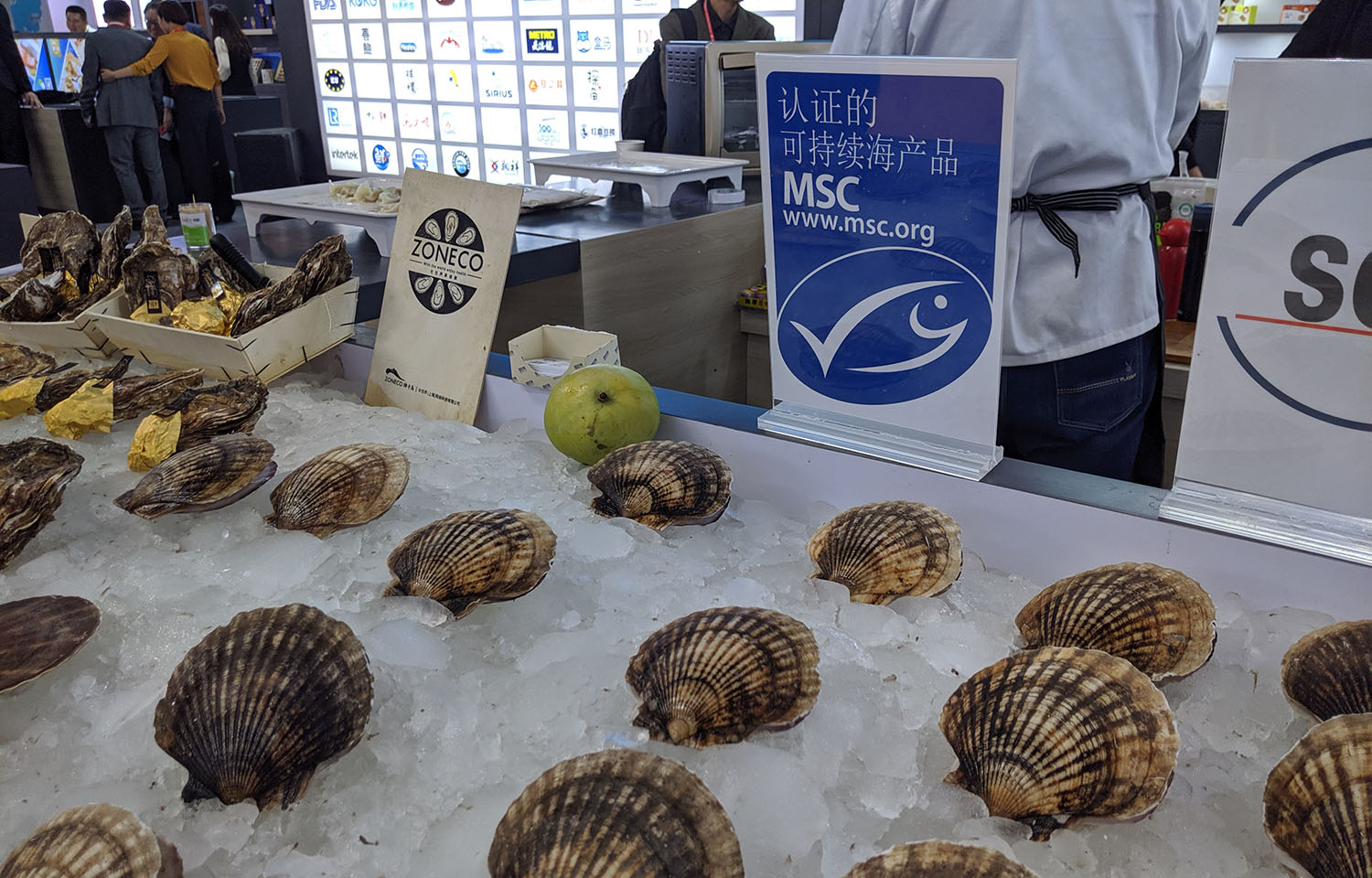 A Marine Stewardship Council logo, with a Chinese translation, behind a display of scallops