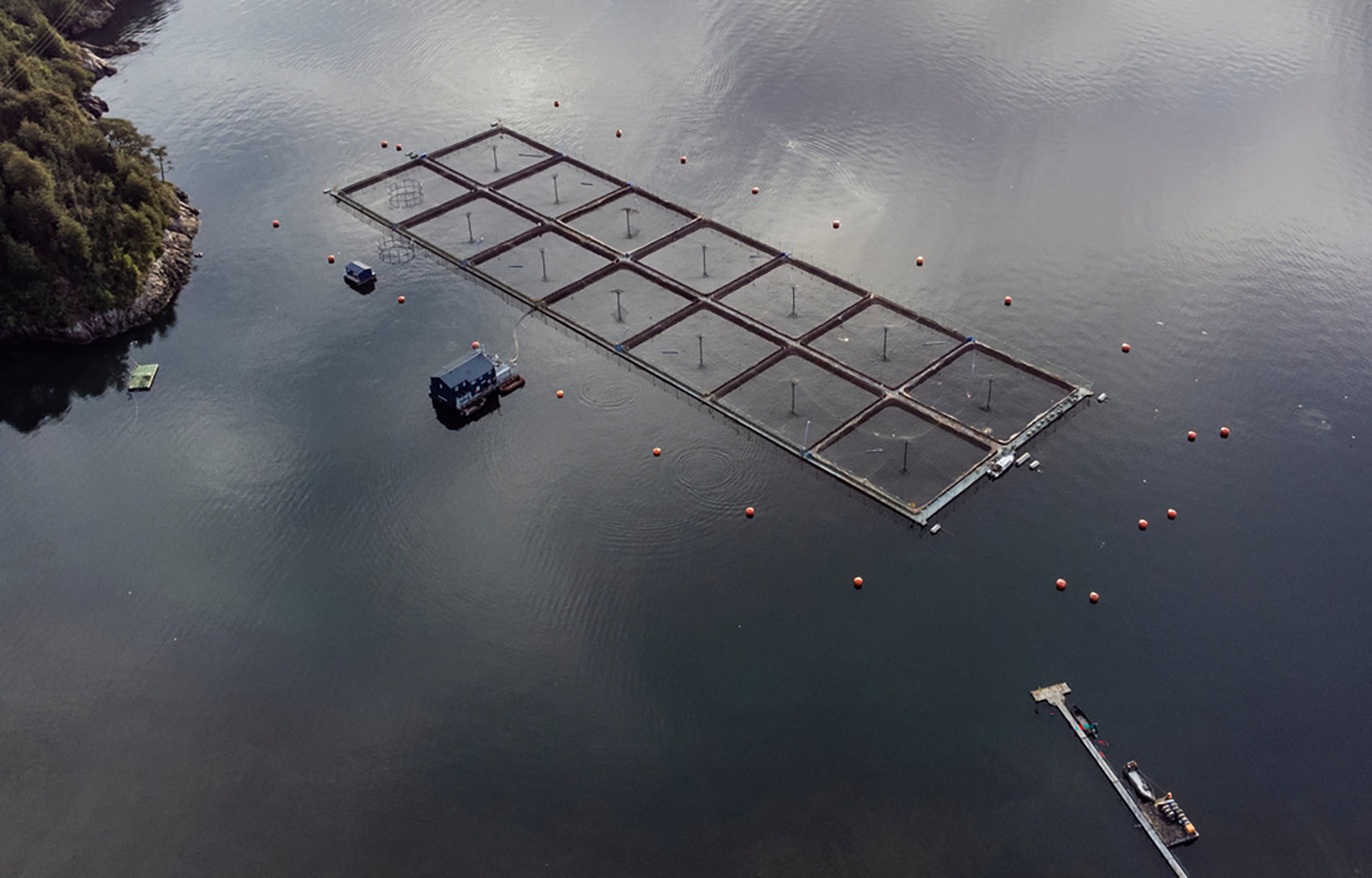 A Chilean salmon farm