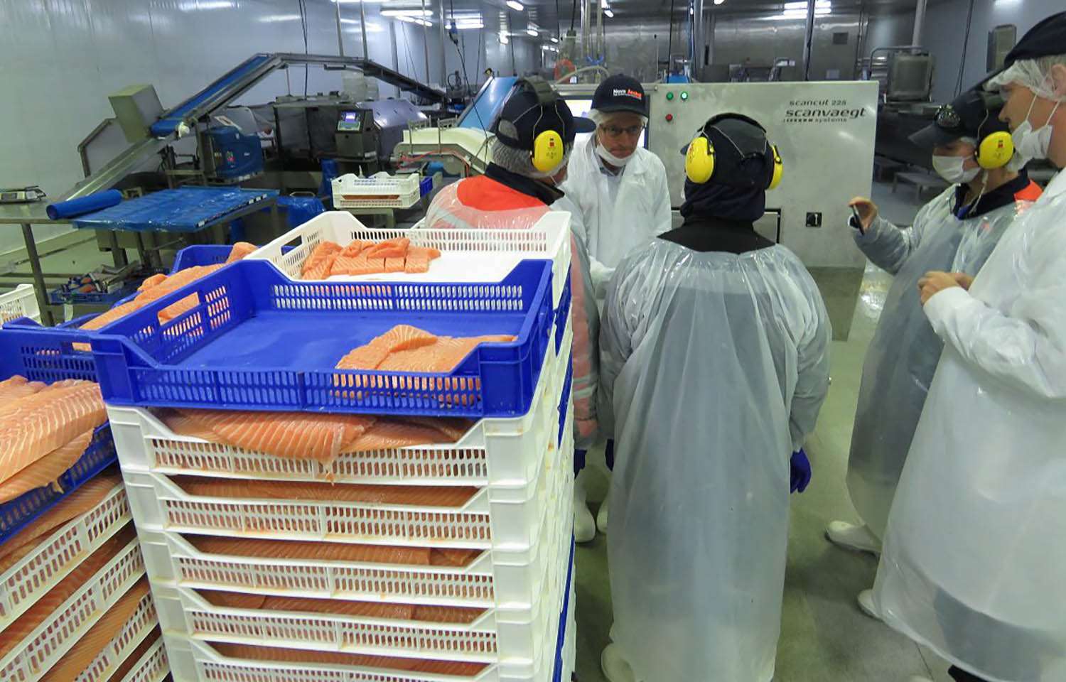 Nova Austral employees working at the firm's Porvenir processing plant