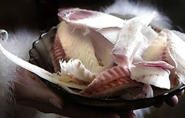 Stroganina-NL'.jpg