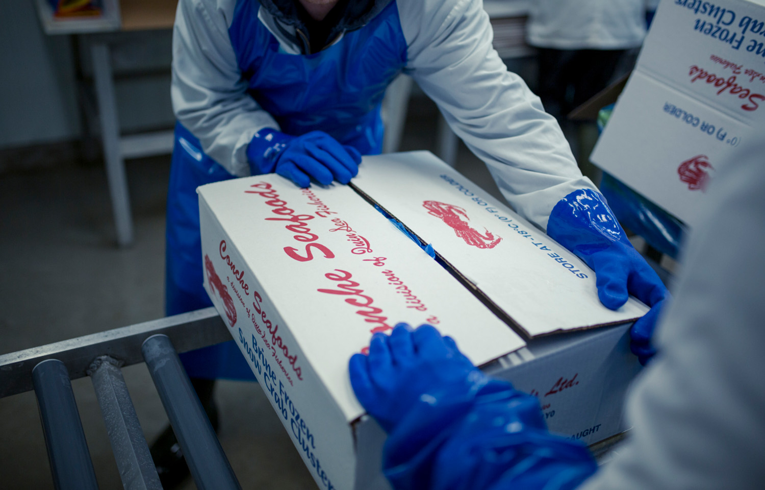 Conche Seafoods workers packaging crab in a box