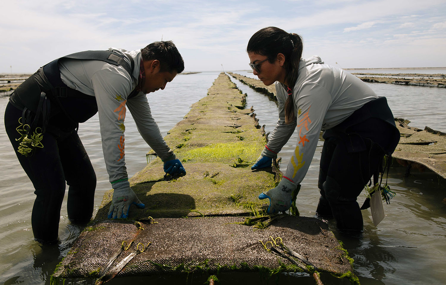 Op-ed: Why global ocean governance must mandate regenerative aquaculture