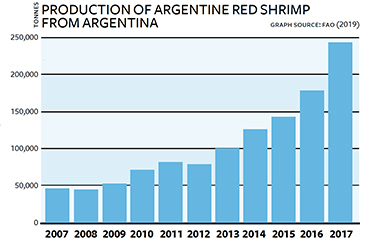 SS-IMG-2019-11-19-ProductionArgentineRedShrimp-NL.jpg
