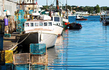 A picture of the Maine waterfront