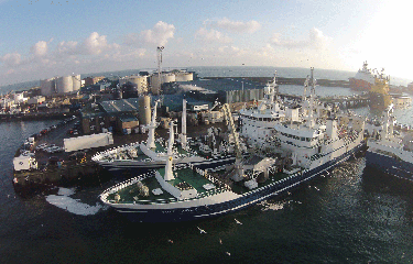 A pair of Denholm Seafoods' fishing vessels docked near the company's processing facilities.