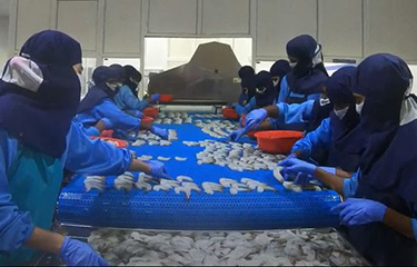 A Nekkanti Sea Foods value-added line.