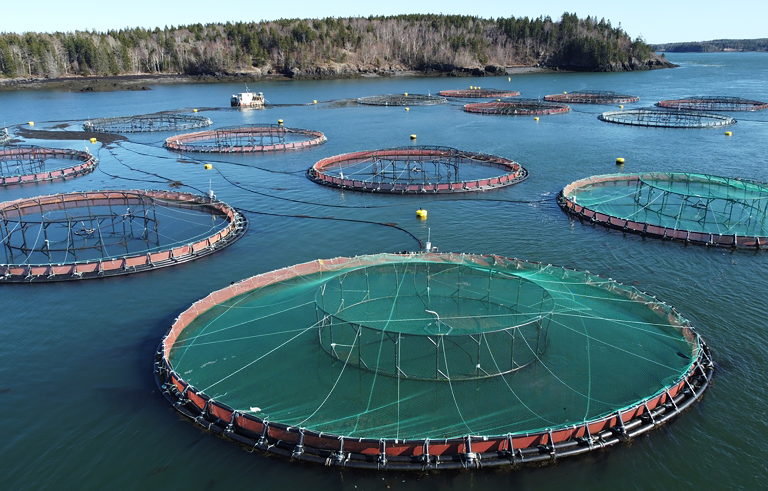 Nylon aquaculture nets found to release five times more microplastics than other materials