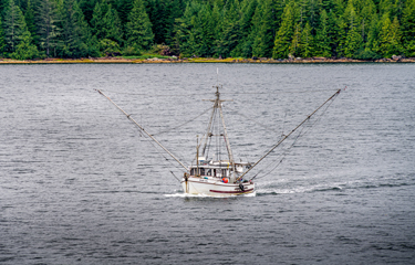 Fisheries Council of Canada launches consumer guide, calls for