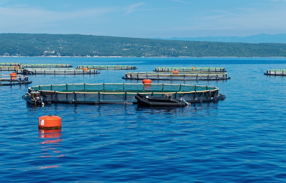 Offshore aquaculture advocates send joint letter to US lawmakers pushing for MARA passage