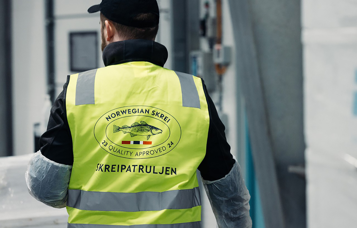 Norwegian skrei season opens with lower quotas but excellent quality forecast