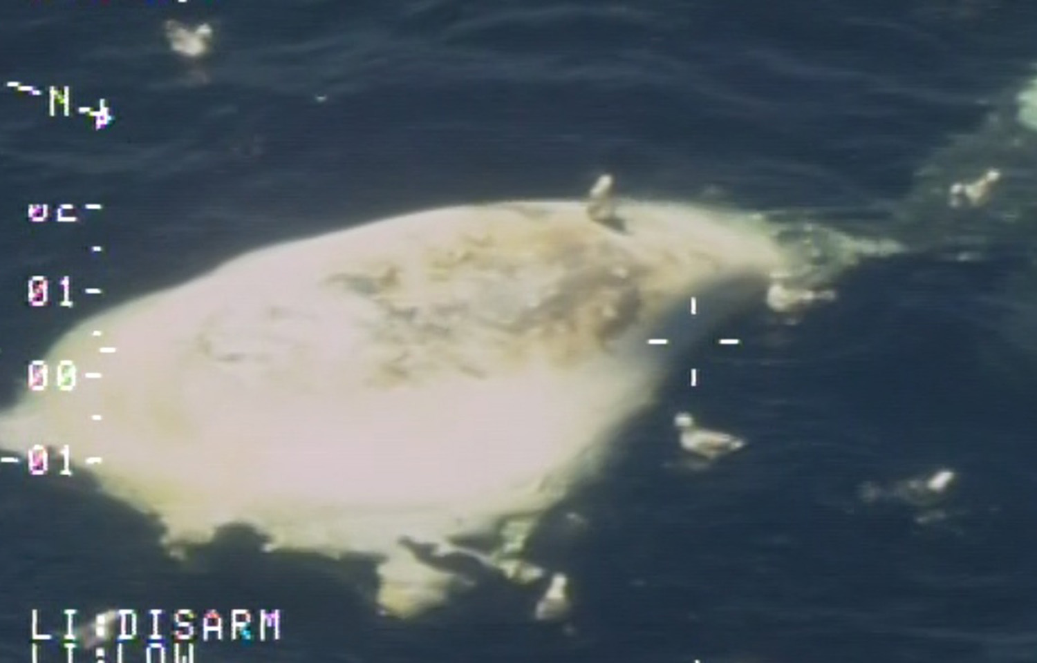 An aerial surveillance photograph of a dead North Atlantic right whale found off the coast of Nova Scotia, Canada