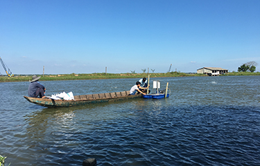 Vietnamese workers install water monitoring equipment in a pangasius pond.