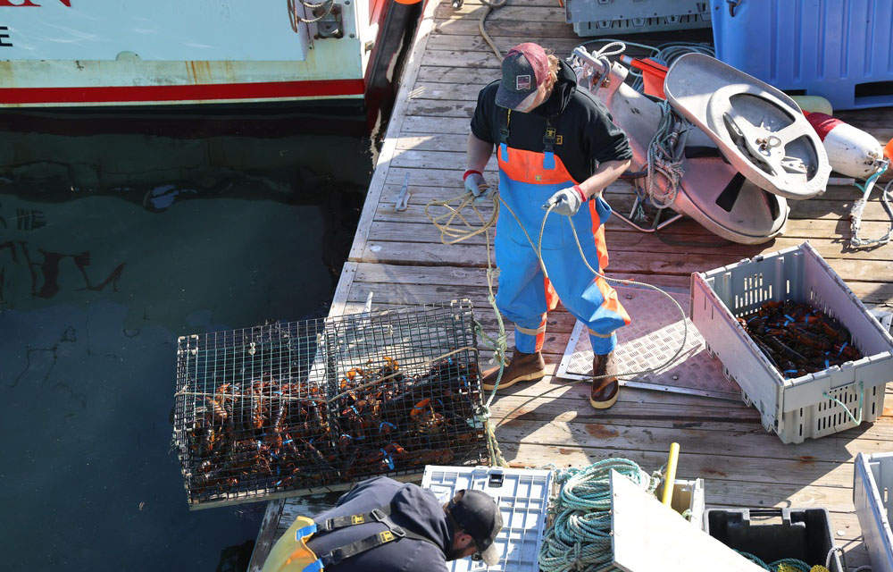 a lobsterman