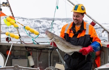 A Leroy Seafood employee holding a cod.