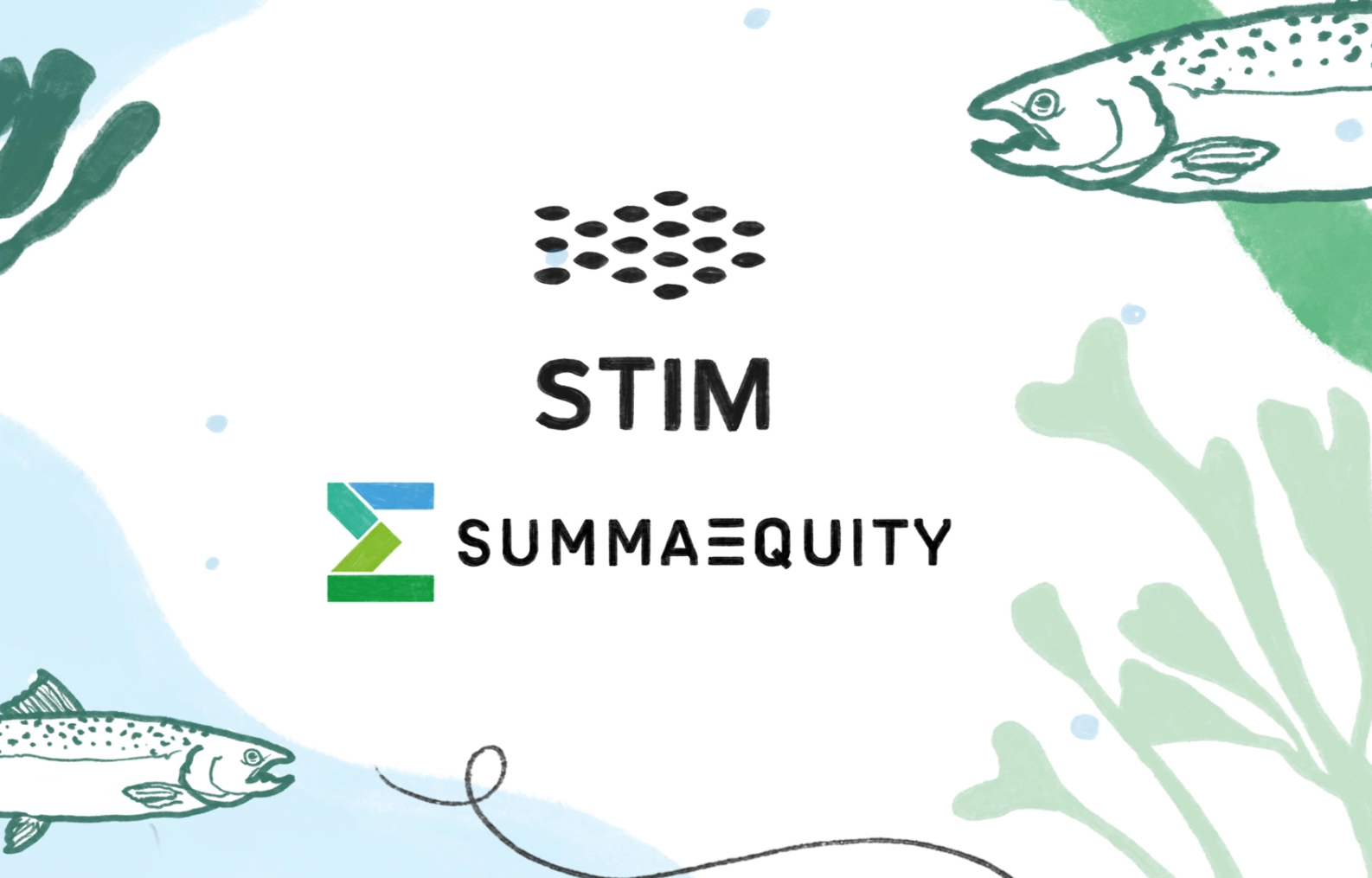 The logos of STIM and Summa Equity