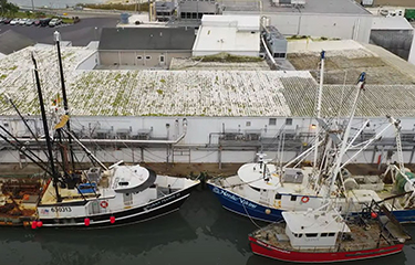 New Jersey herring fishing vessels.