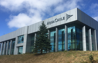 AquaChile's corporate headquarters.