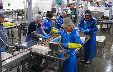 A Trident canning line.