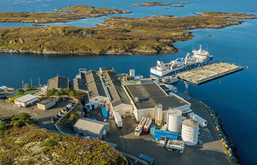 Mowi's processing facility in Ulvøya, Norway.