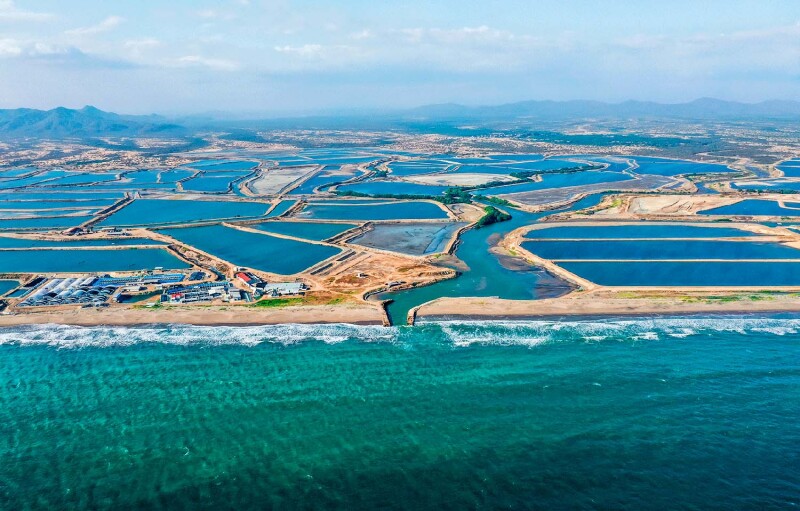 An aerial view of Santa Priscila's shrimp farm