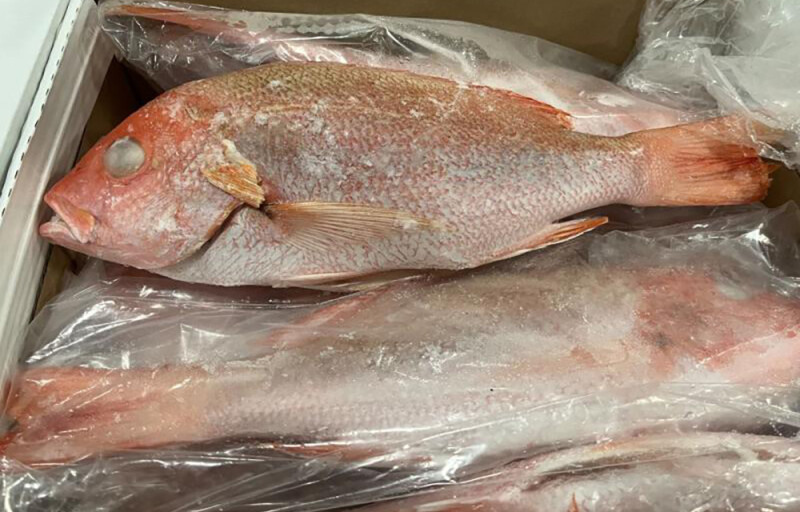 SeafoodSource