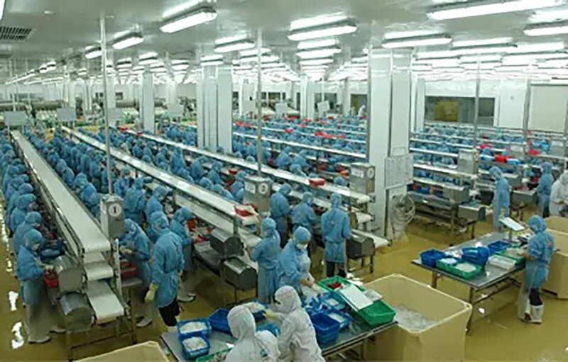 A Guolian shrimp factory