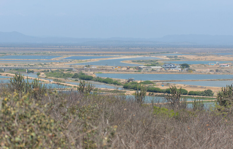 A view of an Ecuadorian shrimp farm from the top of a hill