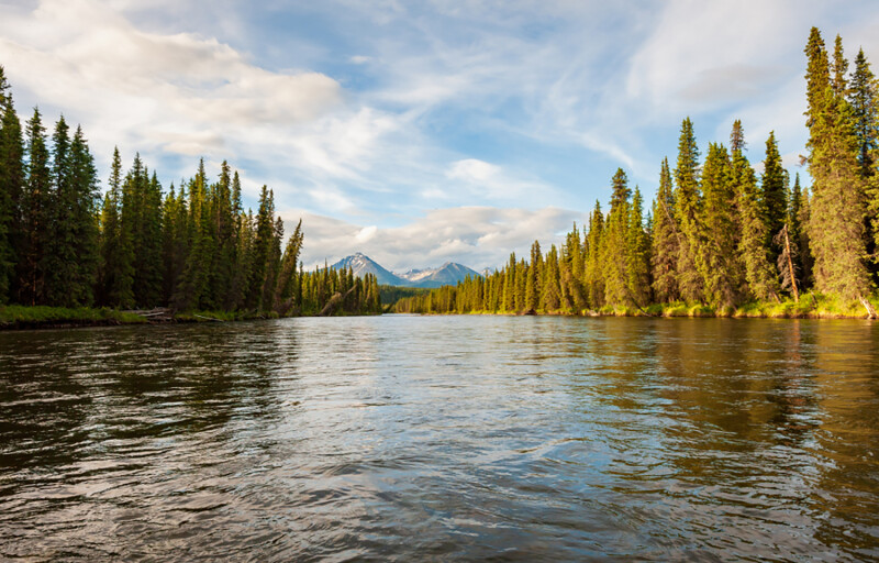 The Lower Stikine River