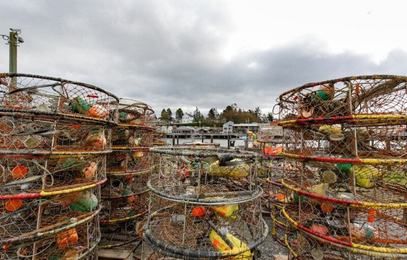 Dungeness crab traps
