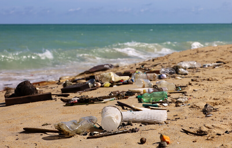 Trash on a beach