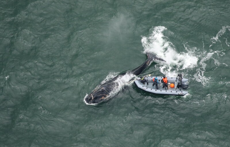 Responders attempting to free Division of entangled gear in December 2025