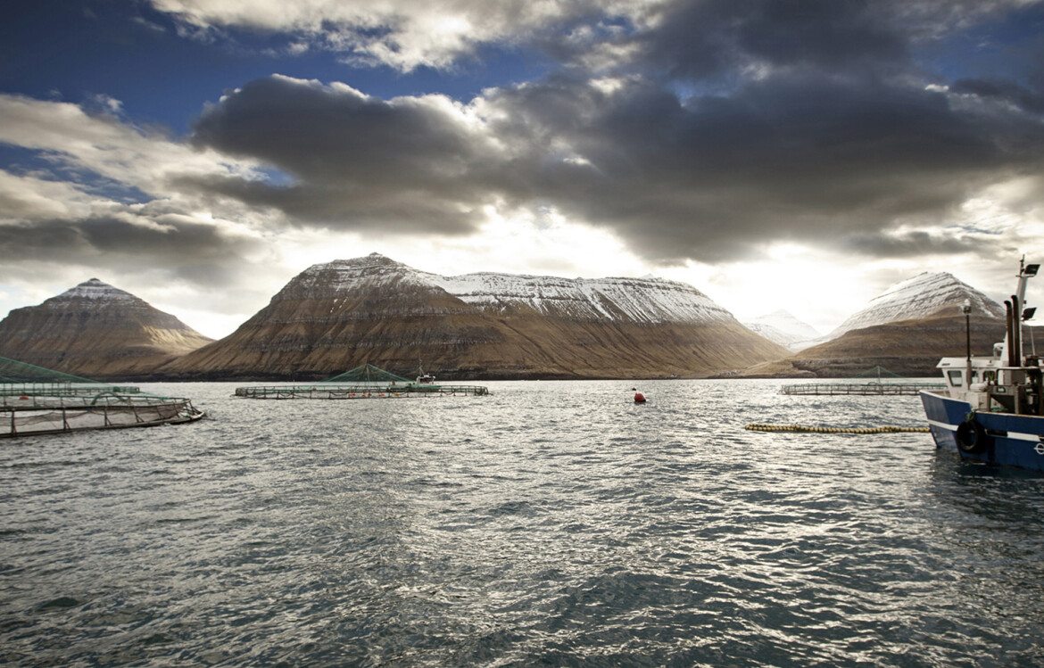 A Bakkafrost salmon farm in the Faroe Islands