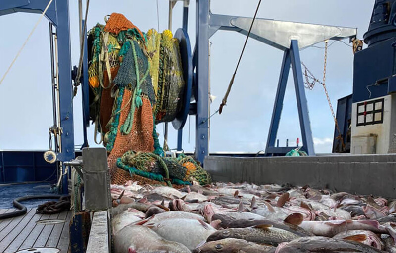 A Midwater Trawlers Cooperative fishing vessel with a catch of fish