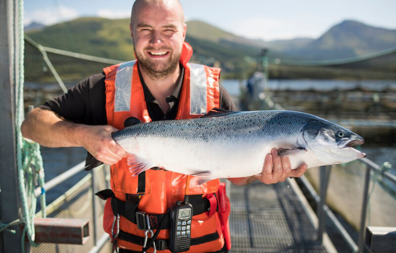 A Mowi farm manager holding a salmon