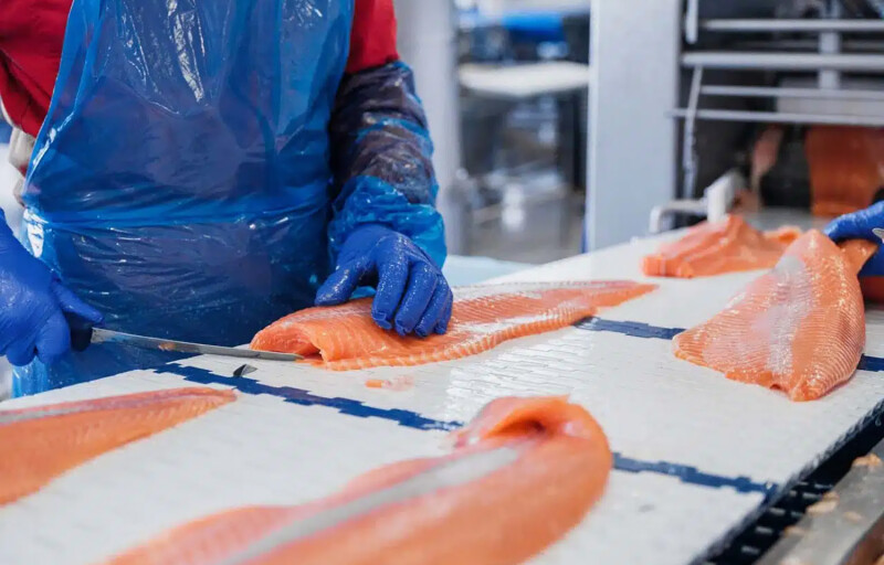 A SalMar employee slicing a salmon fillet
